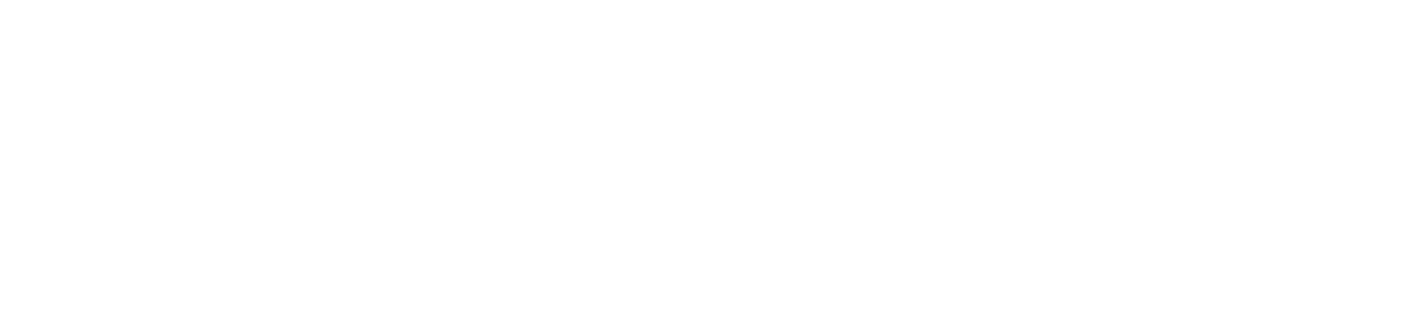 Clastix and Netsons